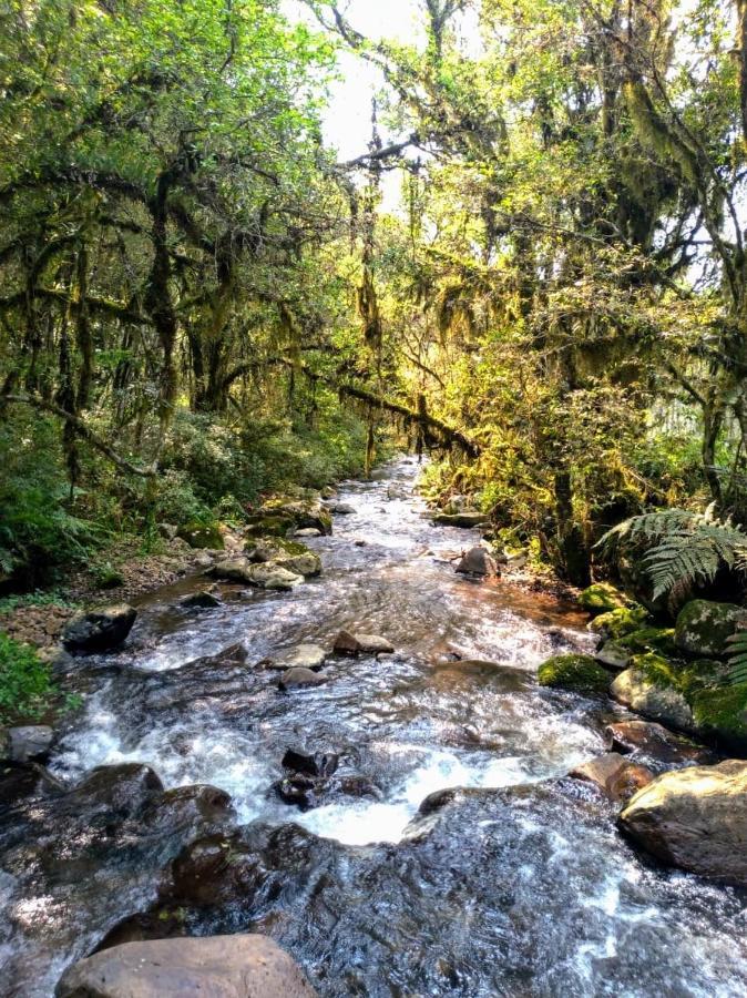 Chales Estancia Cachoeira Do Avencal Urubici Eksteriør billede