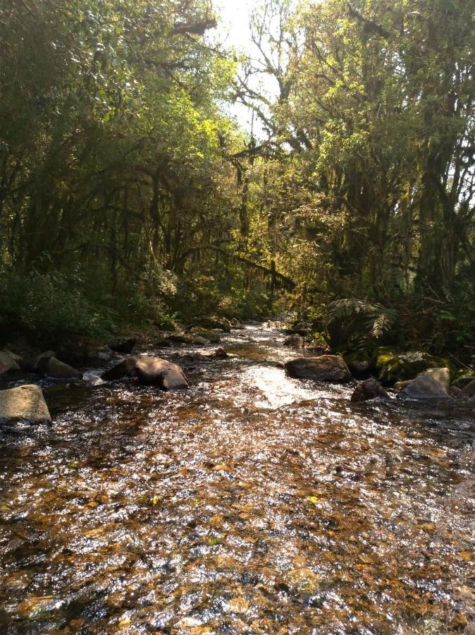 Chales Estancia Cachoeira Do Avencal Urubici Eksteriør billede